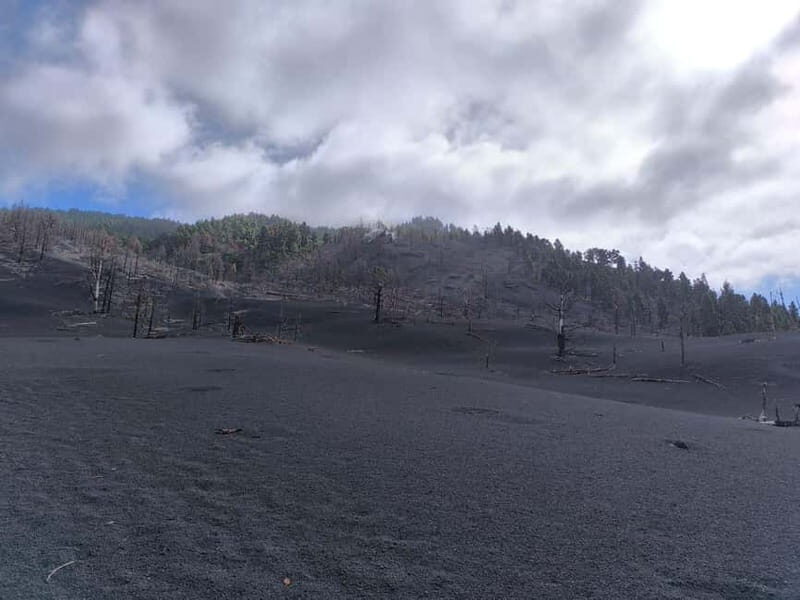 La Palma: Tajogaite Volcano Guided Hike ( ES-ED ) - Introduction: Why Consider the Tajogaite Volcano Guided Hike?