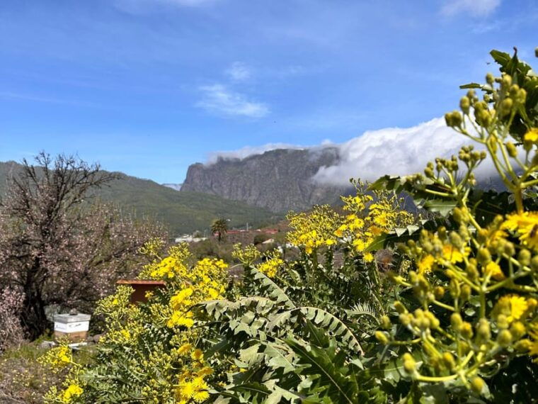 la-palma-tour-of-an-ecological-farm-with-animals-and-tasting