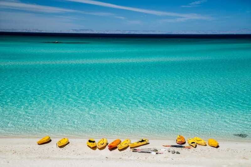 La Paz: 3-Beach Snorkeling Tour with Lunch and Drinks - Who Will Love This Tour?