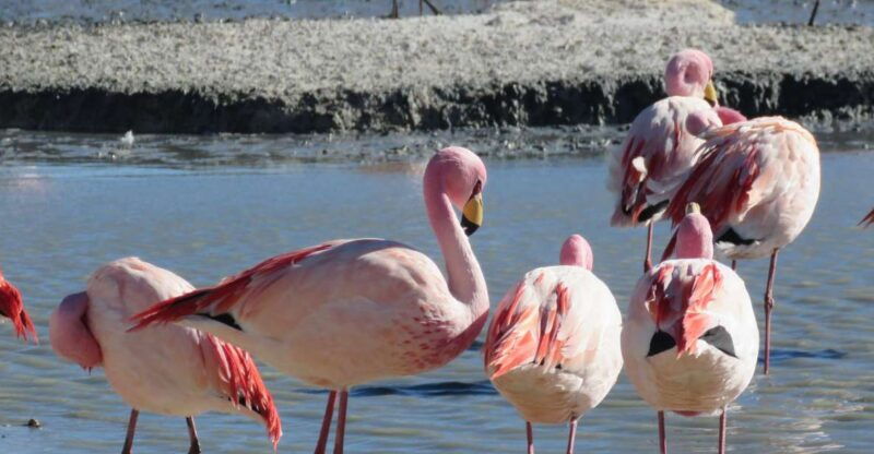 la-paz-6-day-private-best-of-bolivia-tour-with-flights
