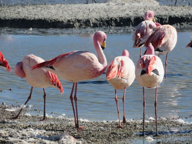 la-paz-6-day-private-best-of-bolivia-tour-with-flights
