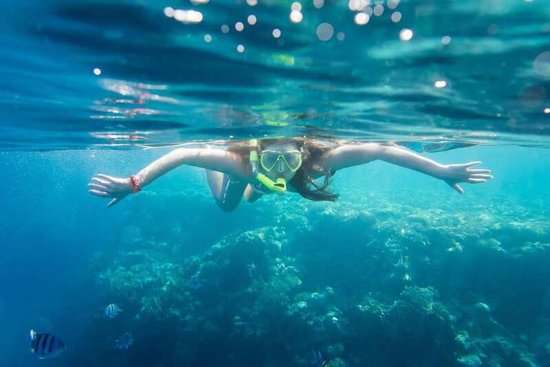 la-paz-coral-farm-snorkel-tour
