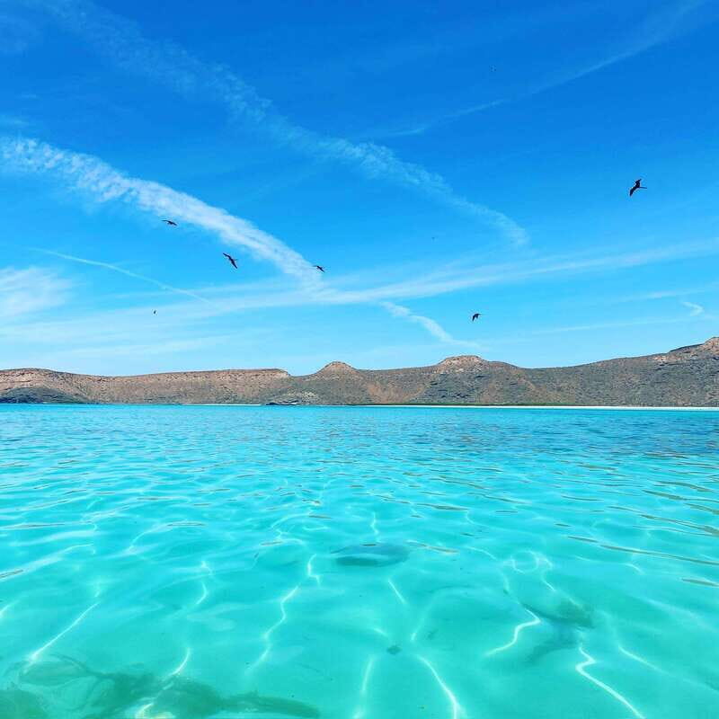 La Paz: Deluxe Yacht Adventure with Paddleboarding - Practical Details and Tips