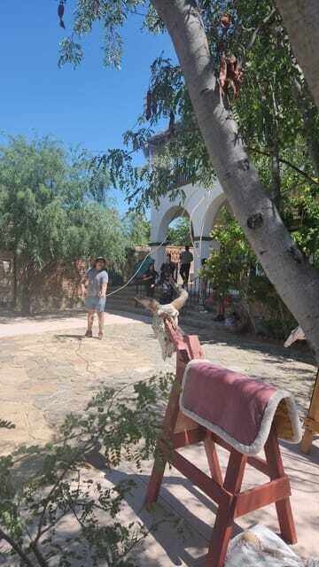 La Paz: El Triunfo Town Tour with Lunch and Transportation - Who Will Love This Tour?