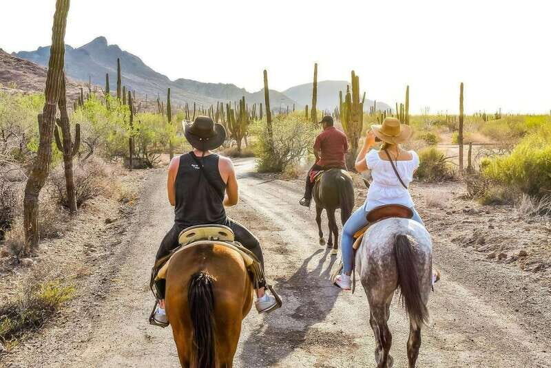 La Paz: Horseback Riding - A Closer Look at the Baja California Sur Horseback Riding Tour