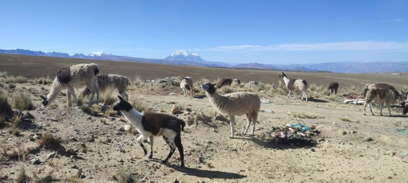 la-paz-mountain-chacaltaya-and-moon-valley-guided-day-tour