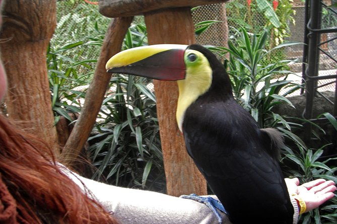 la-paz-waterfall-gardens-and-wildlife-refuge-tour-from-san-jose