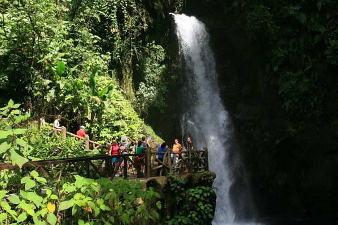 la-paz-waterfall-gardens-from-san-jose