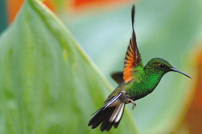 la-paz-waterfall-gardens-nature-park-full-day-tour