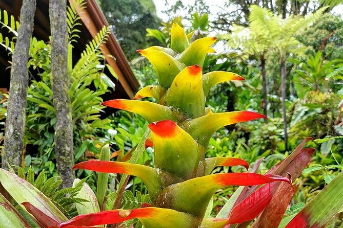 la-paz-waterfall-gardens-nature-park-full-day-tour