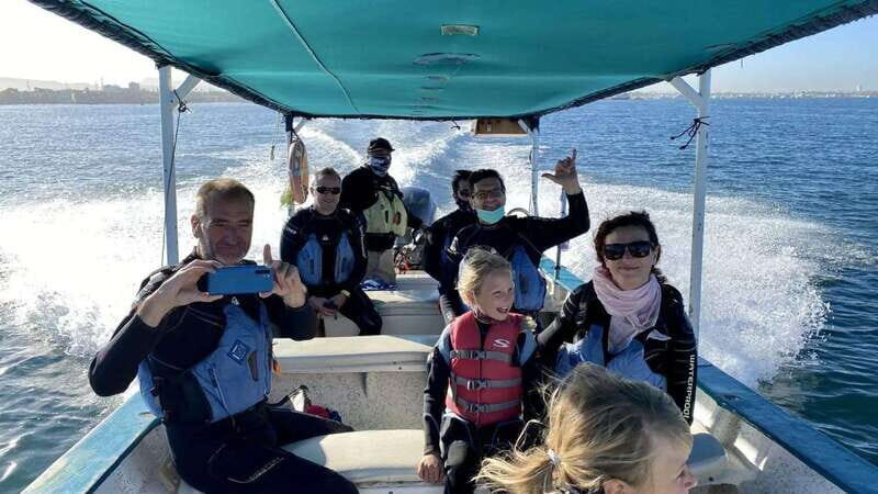 La Paz: Whale Shark Swimming Adventure with Marine Biologist - An In-Depth Look at the Whale Shark Tour in La Paz