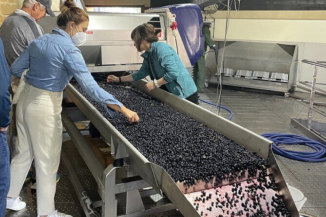 La Rioja Boutique Wine Tour & Charming Lunch (From Bilbao) - Who Will Love This Tour?