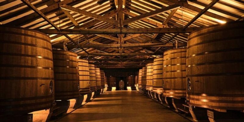 la-rioja-guided-visit-to-cvne-winery-and-wine-tasting