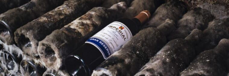 la-rioja-guided-visit-to-cvne-winery-and-wine-tasting