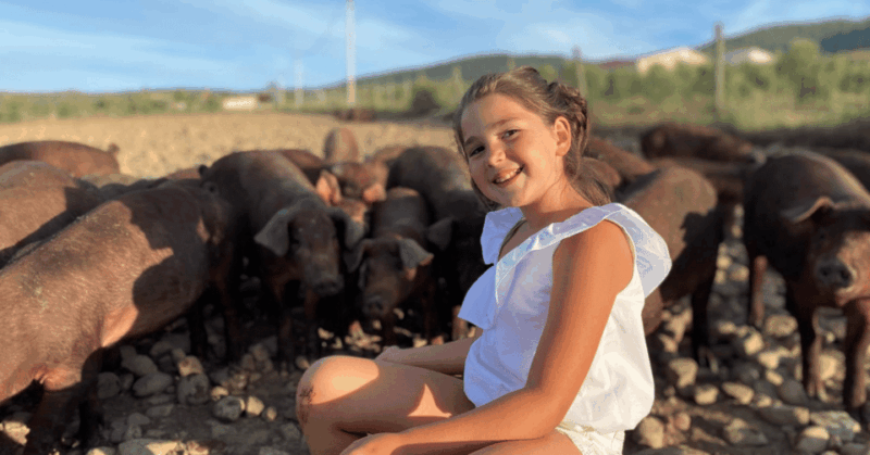 la-rioja-jamon-iberico-farm-tour-and-tasting-with-wine