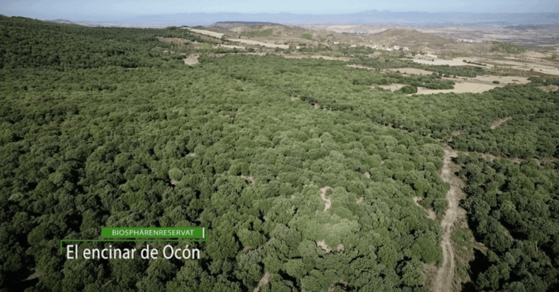 la-rioja-jamon-iberico-farm-tour-and-tasting-with-wine