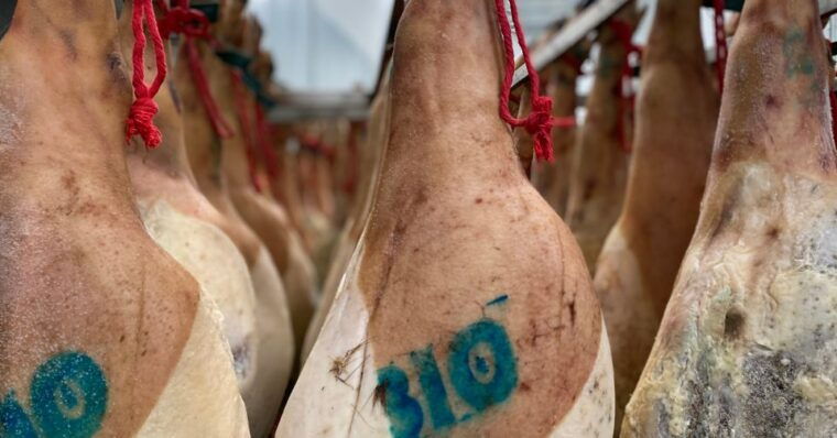 la-rioja-jamon-iberico-farm-tour-and-tasting-with-wine