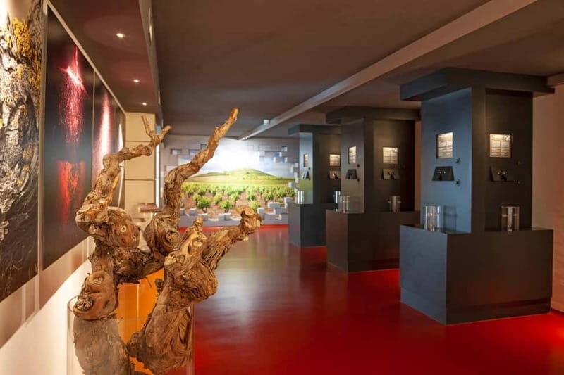 La Rioja: Sensory Experience With Wine Tasting - An In-Depth Look at the La Rioja Sensory Tour