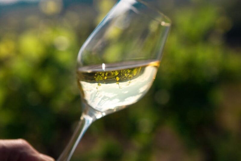 La Roche Vineuse: Visit to the Vine and Wine Museum - Key Points