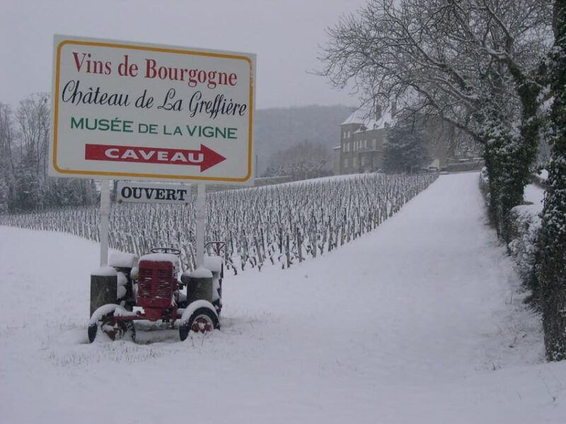 La Roche Vineuse: Visit to the Vine and Wine Museum - What Makes This Experience Special?