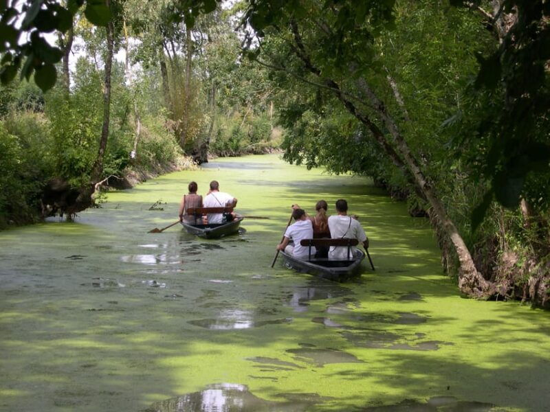 la-rochelle-marais-poitevin-private-guided-tour-by-car