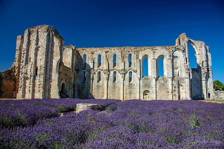 la-rochelle-marais-poitevin-private-guided-tour-by-car