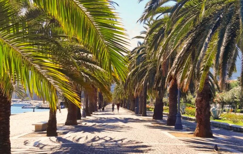 la-spezia-guided-walking-tour-with-italian-inspired-music