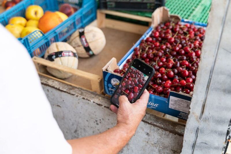 la-spezia-small-group-street-food-tour
