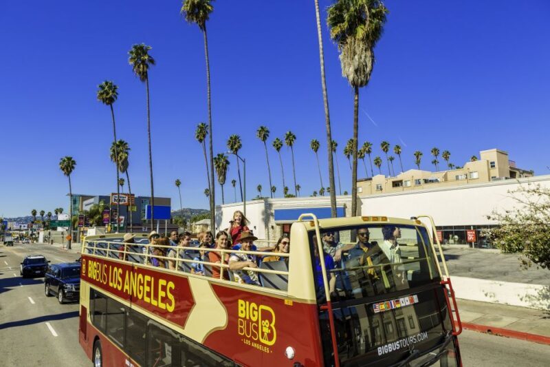 LA: TMZ Celebrity Tour & Big Bus 24-Hour Hop-on Hop-off Tour - Pricing and Value