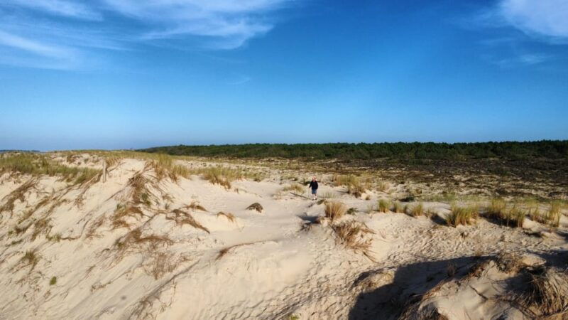 la-tremblade-hiking-in-the-domanial-forest-of-coubre