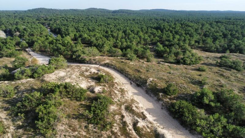 la-tremblade-hiking-in-the-domanial-forest-of-coubre