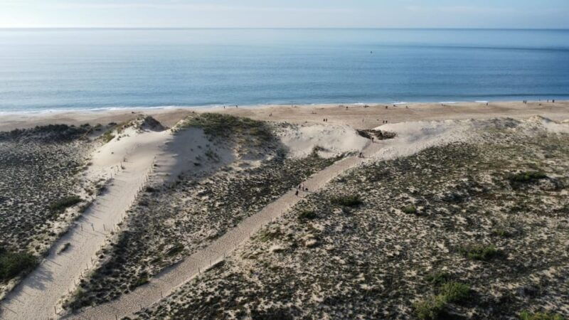 la-tremblade-hiking-in-the-domanial-forest-of-coubre