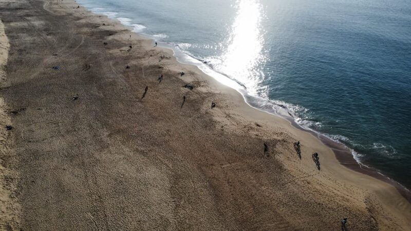 la-tremblade-hiking-in-the-domanial-forest-of-coubre