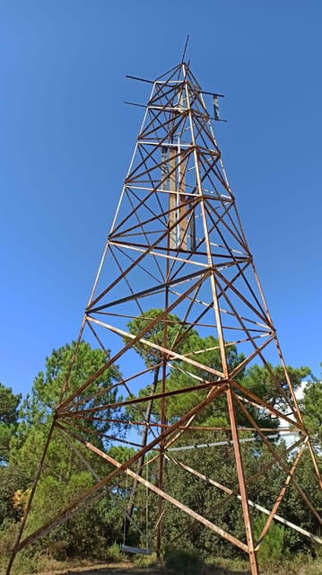 la-tremblade-hiking-in-the-domanial-forest-of-coubre