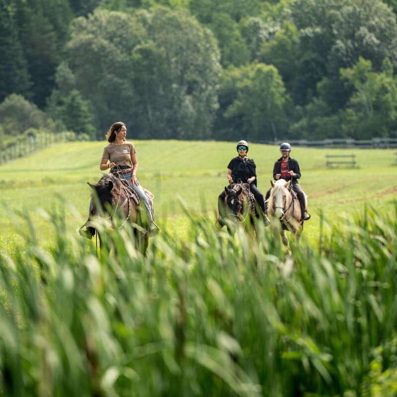 la-vallee-a-charming-introduction-to-horseback-riding