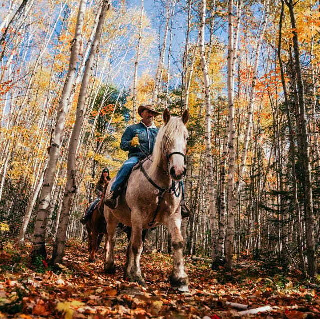 la-vallee-a-charming-introduction-to-horseback-riding