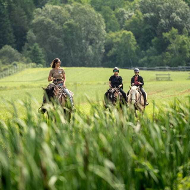 la-vallee-a-charming-introduction-to-horseback-riding