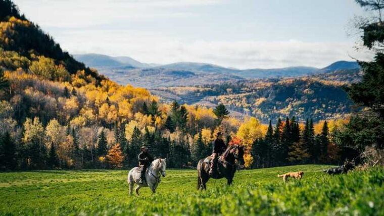la-vallee-a-charming-introduction-to-horseback-riding