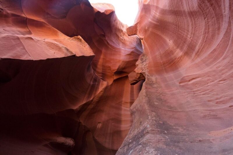 LA: Vegas, Grand Canyon, Antelope and Bryce, Zion 4-Day Tour - Key Points