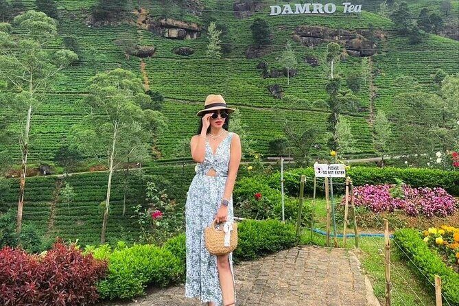 Labookellie Tea Factory Tour from Nuwara Eliya - An In-Depth Look at the Tour