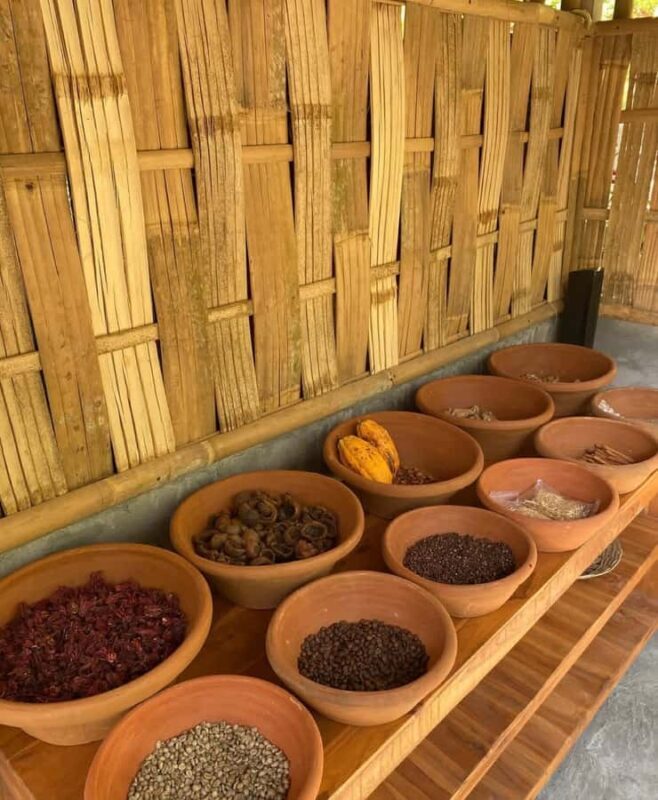 Labuan Amuk Bali: snorkeling tour with traditional boat - Final Reflection