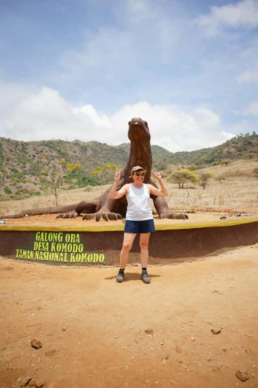 Labuan Bajo: 3-Day Komodo Liveaboard Adventure with VIP Boat - Who Is This Tour Best Suited For?