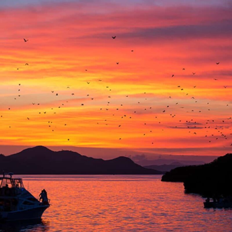 Labuan Bajo Explore 3 Destination (Kelor, Manjarite, Kalong) - An In-Depth Look at the Tour Experience