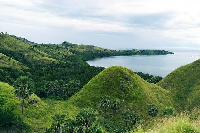 Labuan Bajo In Depth - The Itinerary Breakdown: What to Expect at Each Stop