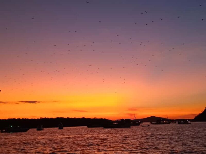 LABUAN BAJO: Komodo Shared Tour With Speed Boat - Exploring the Itinerary in Detail
