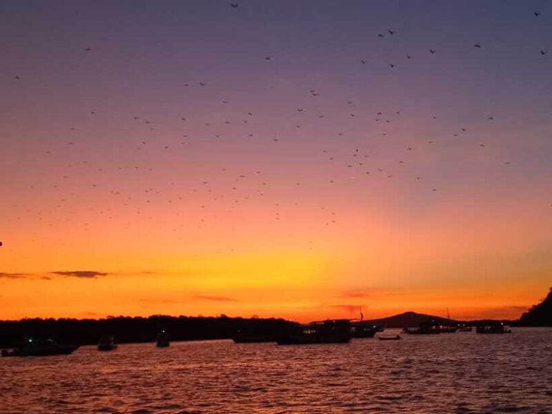 LABUAN BAJO: Komodo Shared Tour With Speed Boat - Who Should Consider This Tour?