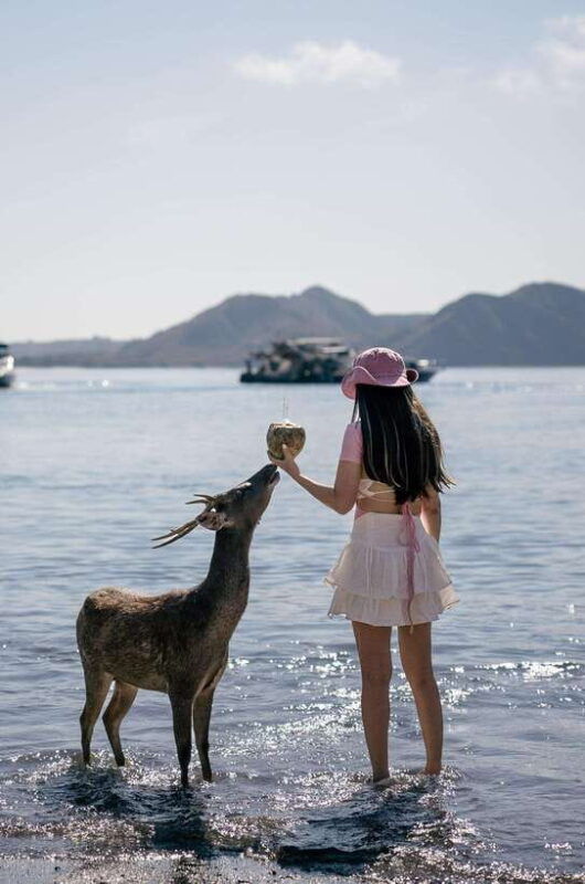 labuan-bajo-one-day-komodo-private-trip-with-speedboat
