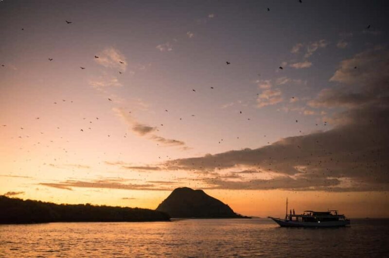 Labuan Bajo: Sunset Tour by Speedboat - Key Points