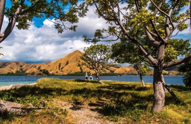 Labuan Bajo: Sunset Tour by Speedboat - Who Will Love This Tour?