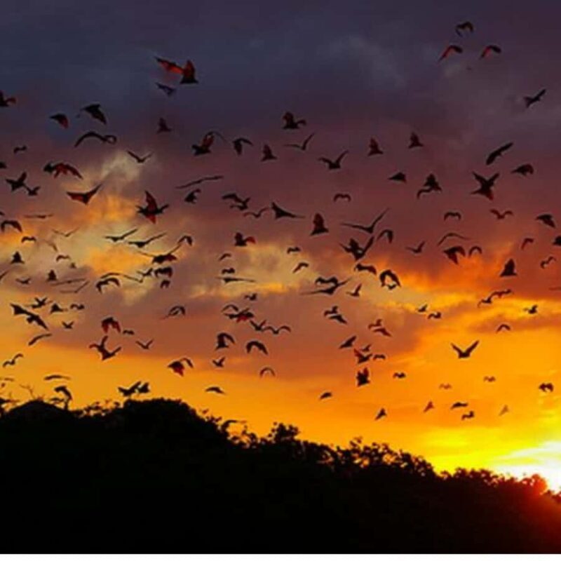 Labuan Bajo Sunset Trip  Explore 3 Destinations - Key Points